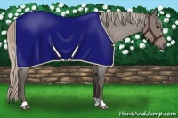 Horse Color:Silver Blue Roan 