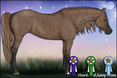 Horse Color:Liver Red Dun Rabicano Brindle