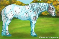 Horse Color:Thunderstruck White Spotted Silver Black Tobiano Appaloosa 
