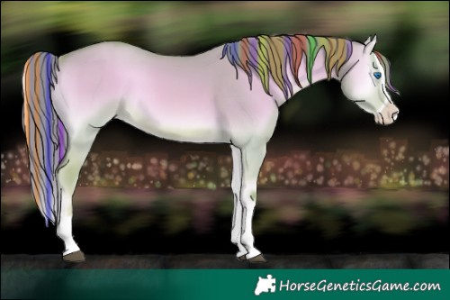 Horse Color:Painted Watercolor Red Dun Onyx Splash 