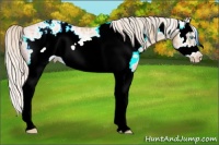 Horse Color:White Spotted Palomino Ice Pearl Splash Frame Varnish Rabicano