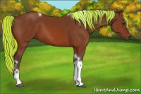Horse Color:Painted Silver Bay Tobiano Rabicano 