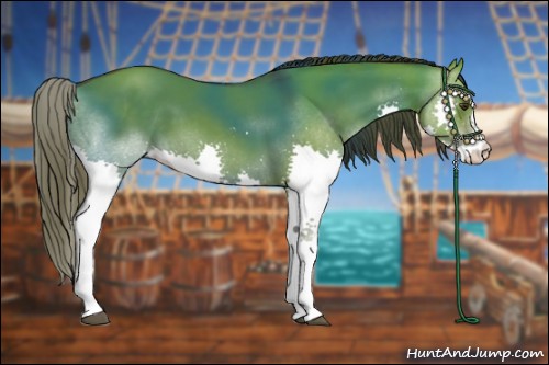 Horse Color:Liver Red Dun Splash 