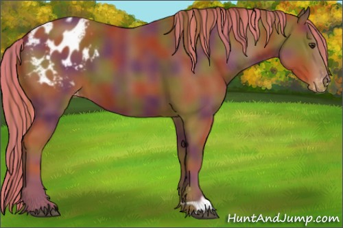 Horse Color:Painted Nacre Chestnut Appaloosa 