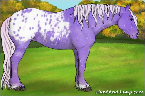 Horse Color:Watercolor Silver Smoky Blue Roan Appaloosa
