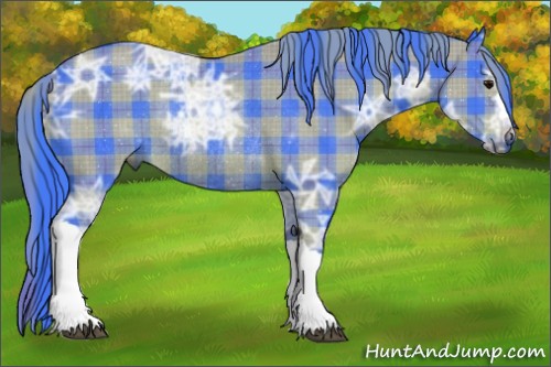 Horse Color:Watercolor Plaid  Smoky Black Ice Rabicano 