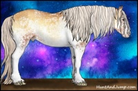 Horse Color:White Spotted Silver Sable Champagne Ice Onyx