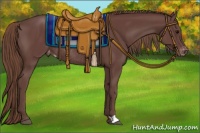 Horse Color:Chocolate Smoky Black Appaloosa Rabicano