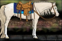 Horse Color:Smoky Creme Appaloosa