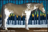 Horse Color:White Spotted Smoky Grullo 