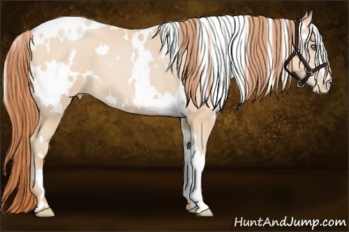 Horse Color:White Spotted Buckskin Pearl Frame 