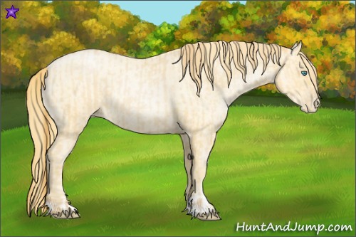Horse Color:Buckskin Roan Pearl and Buckskin Roan Pearl
