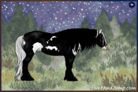 Horse Color:Silver Bay Chinchilla Dun Sabino Splash Tobiano 