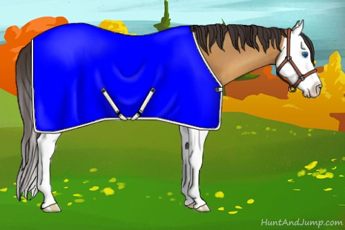 Horse Color:Amber Champagne Splash 