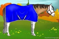 Horse Color:Amber Champagne Splash 