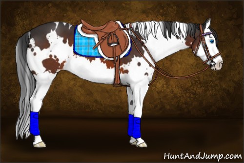 Horse Color:White Spotted Brown Splash Varnish 