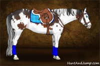 Horse Color:White Spotted Brown Splash Varnish 