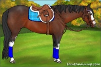 Horse Color:White Spotted Brown 