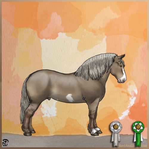 Horse Color:Liver Red Dun Frame