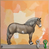 Horse Color:Liver Red Dun Frame 