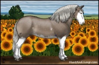 Horse Color:White Spotted Liver Red Dun Mushroom Splash 