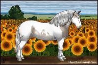 Horse Color:Liver Red Dun Splash Tobiano Appaloosa 