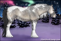 Horse Color:Blue Onyx Ice Sabino Tobiano Varnish Rabicano 