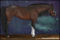 Horse Color:Gray Bay 