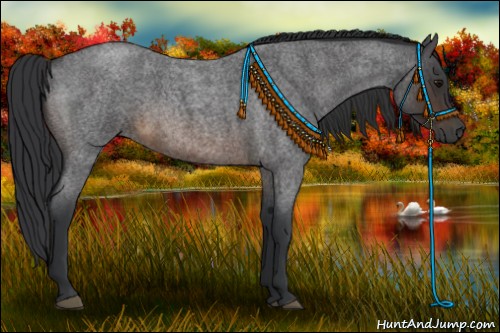 Horse Color:Brown Roan 