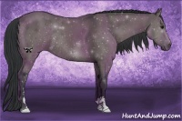 Horse Color:Grullo Sabino Rabicano 