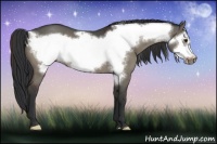 Horse Color:Brown Dun Frame