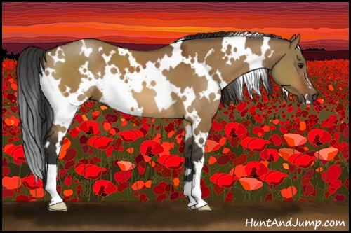 Horse Color:White Spotted Bay Dun 