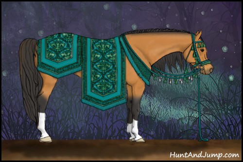 Horse Color:Buckskin 