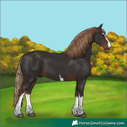 Horse Color:White Spotted Liver Chestnut 