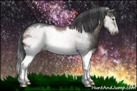 Horse Color:Brown Dun Sabino Splash Frame