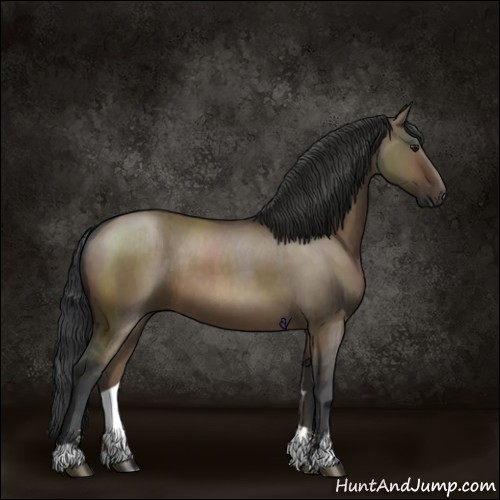 Horse Color:Brown Dun Sabino 
