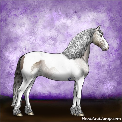 Horse Color:White Spotted Bay Tobiano Rabicano