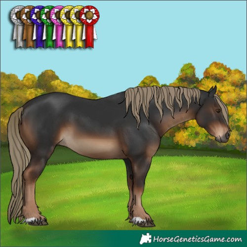 Horse Color:Gray Liver Chestnut Mushroom