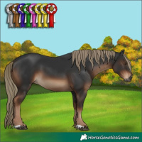 Horse Color:Gray Liver Chestnut Mushroom