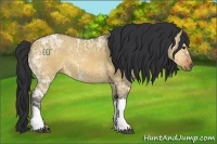 Horse Color:Bay Ice Dun