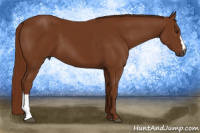 Horse Color:Gray Chestnut 