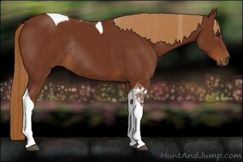 Horse Color:Chestnut Tobiano Rabicano