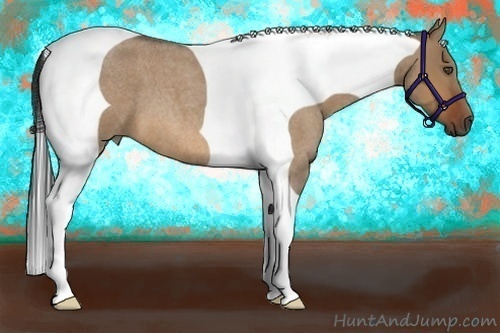 Horse Color:Bay Roan Dun Tobiano