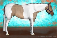 Horse Color:Bay Roan Dun Tobiano 
