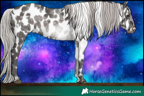 Horse Color:White Spotted Silver Brown Ice Mushroom Sabino Appaloosa Rabicano 