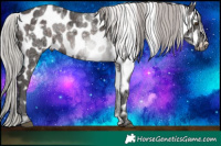 Horse Color:White Spotted Silver Brown Ice Mushroom Sabino Appaloosa Rabicano 