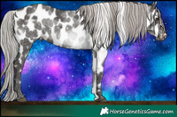 Horse Color:White Spotted Silver Brown Ice Mushroom Sabino Near Leopard Rabicano 