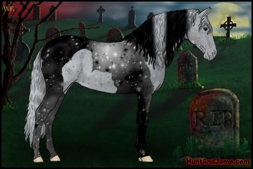 Horse Color:ERROR: UNKNOWN ANOMALY