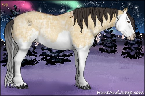 Horse Color:Bay Ice Dun Sabino Splash Rabicano