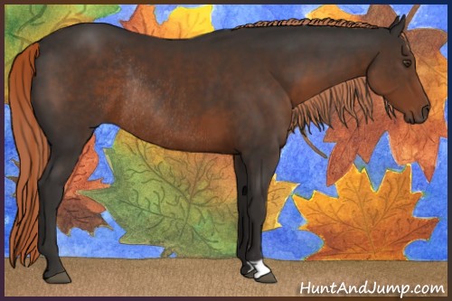 Horse Color:Liver Chestnut Rabicano 